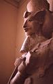 WT 1600 226-20 Egypt